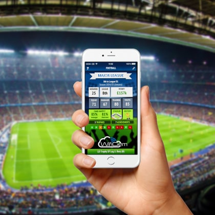 Sports Grounds and Arenas